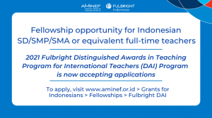 Fulbright DAI Website (1)